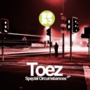 Toez - Raindrop