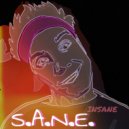 S.A.N.E. - Insane