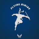 Aerophoniks - Flying Ninjas