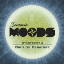 startech42 - Bird of Paradise