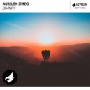 Aurelien Stireg - Divinity