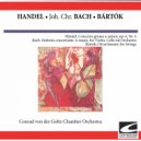 Conrad von der Goltz Chamber Orchestra - Bartok - Divertimento for Strings - Allegro assai