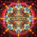 Psychonaut Project - Melodic Heaven