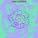 Aaron Felberbaum & Elation - I Still Love You (feat. Elation)