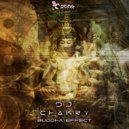 DJ Chakry - Buddha Effect