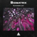 Biomatrix - Meat For Fucking