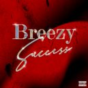 breezy - success