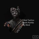 Williams Tribal Drumming Music - Tribal Didgeridoo Festive Drumming (Synth Bass Fx)