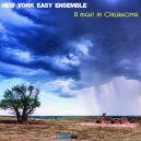 New York Easy Ensemble - Crows To Pluck