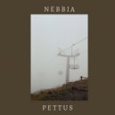 Pettus - Nebbia