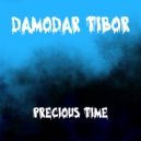Damodar Tibor - Precious Time