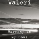 Waleri - love&Cosmos