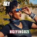 AEY & Miguel Scott - Ngiyingozi (feat. Miguel Scott)