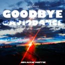 Daviddance - Goodbye