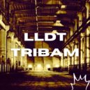 LLDT - Tribam (Radio edit)