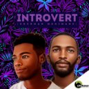 Sherman & Dj Mshimane - Introvert