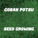 Goban Potsu - Seed Growing