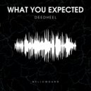 DeedHEEL - What You Expected