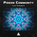 Pigeon Community - Hollywood 1985
