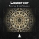 Liquidfoot - Tokkyuu Shirei Solbrain