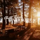 Pimber - Never Sleep