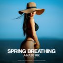A-Mase - Spring Breathing (Mix)