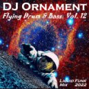 DJ Ornament - Flying Drum & Bass. Vol. 12