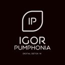 Igor Pumphonia - Digital Detox 14
