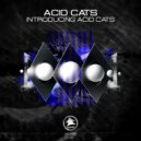 Acid Cats - Such a Long Groove