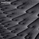 Pascual - Obtuse Angle