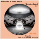 Afroloko & Juan Mejia - Wonderland