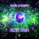 Karell & Pillotti - Alien Hash