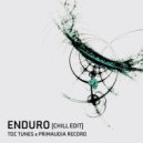 Primaudia Record & TDC Tunes - Enduro