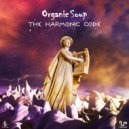Organic Soup - Vega