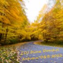 CDJ Dima Donskoi - Autumn D&B