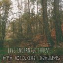 Eye Color Dreams - Enchanted Forest