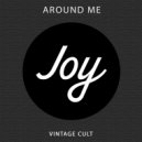 Vintage Culture - You Make Me Feel ()