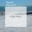 Bigmile - Leaving No Trace