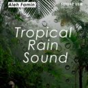Aleh Famin - Tropical Rain Sound