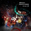 Piloramos - Flowers rebirth
