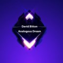 David Bitton - Analogous Dream