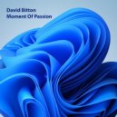 David Bitton - Moment Of Passion