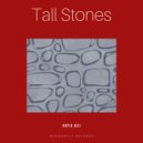 Noya Kei - Tall stones
