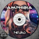 Amphibia - Neuro