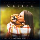 Musique D'ambiance Pour Les Chiens & Musique Calmante Pour Chiens & Musique pour L'anxiété des Chien - Calmer le Sommeil du Chien