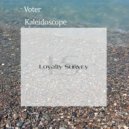 Voter - Kaleidoscope