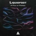 Liquidfoot - A pack of popiros