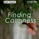 Aleh Famin - Finding Calmness