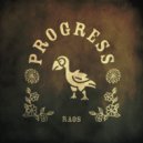 Raos - Progress