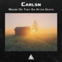 Carlsn - Where do they go after death